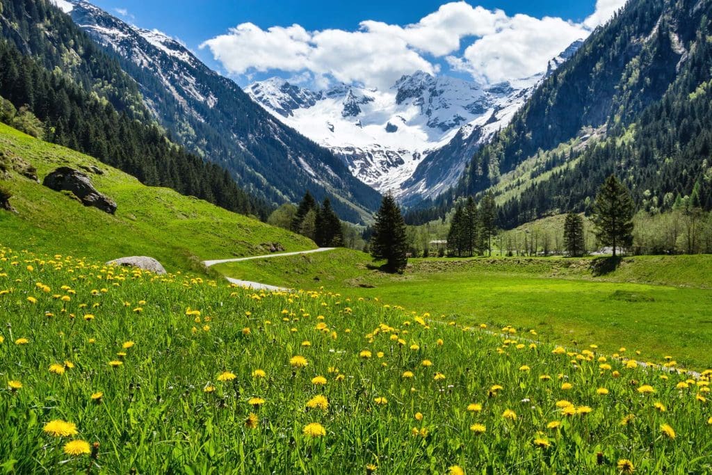 An unspoiled valley in Austria with mountains in the background.
