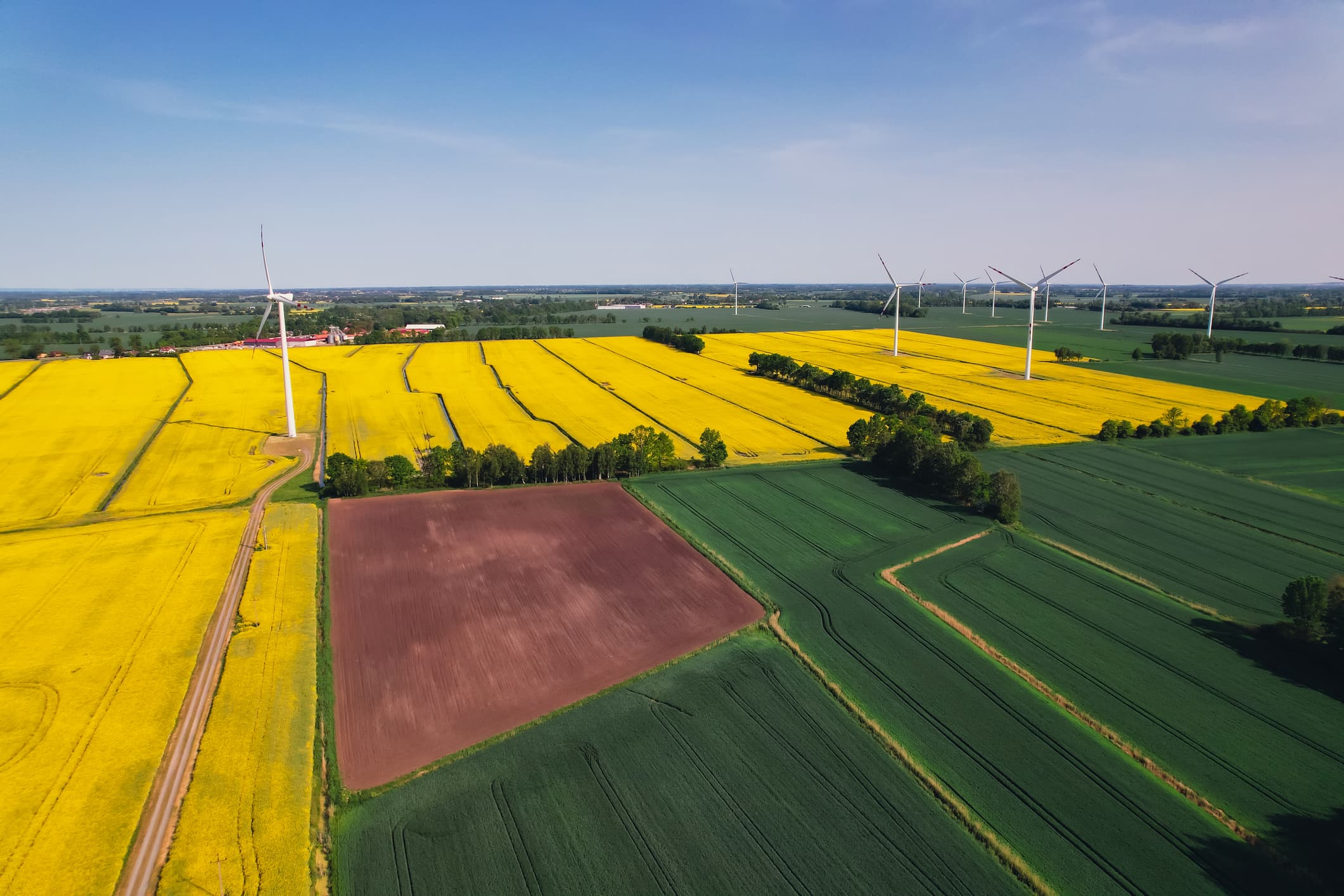 A photo of wind turbines on agricultural farms in Poland, which is now moving faster in its energy transition.