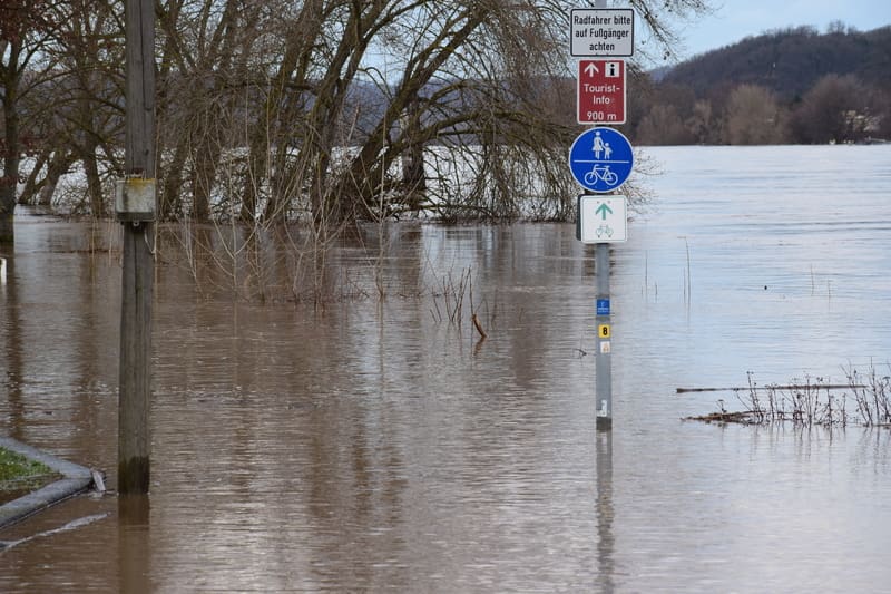A photo of a flooded waterfront park in Germany, which needs to adapt to climate change