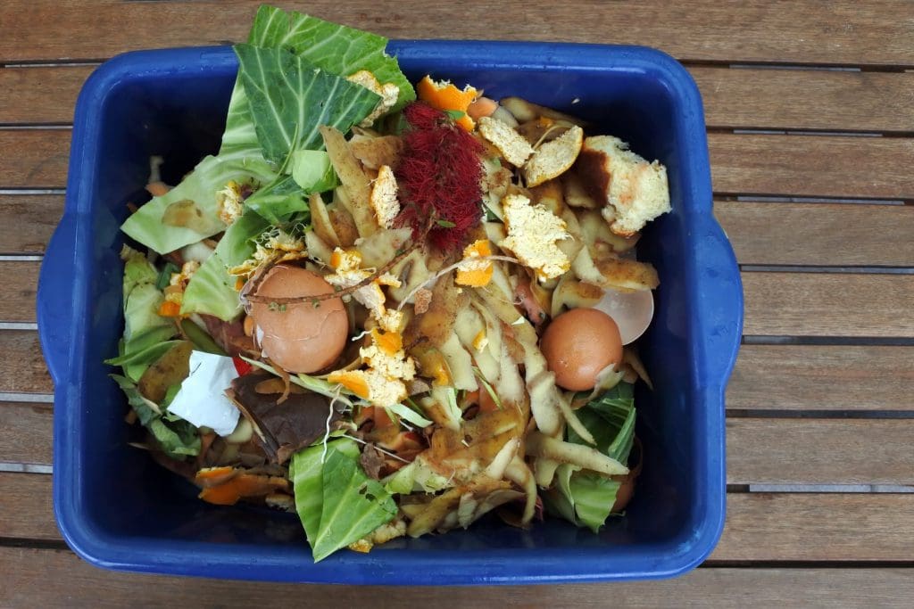A photo of wasted food in a bin.