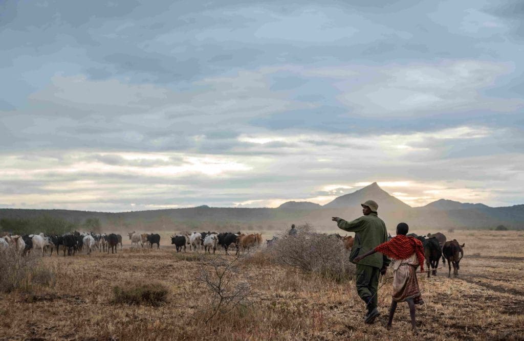 How these Tanzanian communities are tapping carbon markets for conservation, developmental funding 2 Maasai people in Tanzania protecting their forests and land with the help of carbon markets.