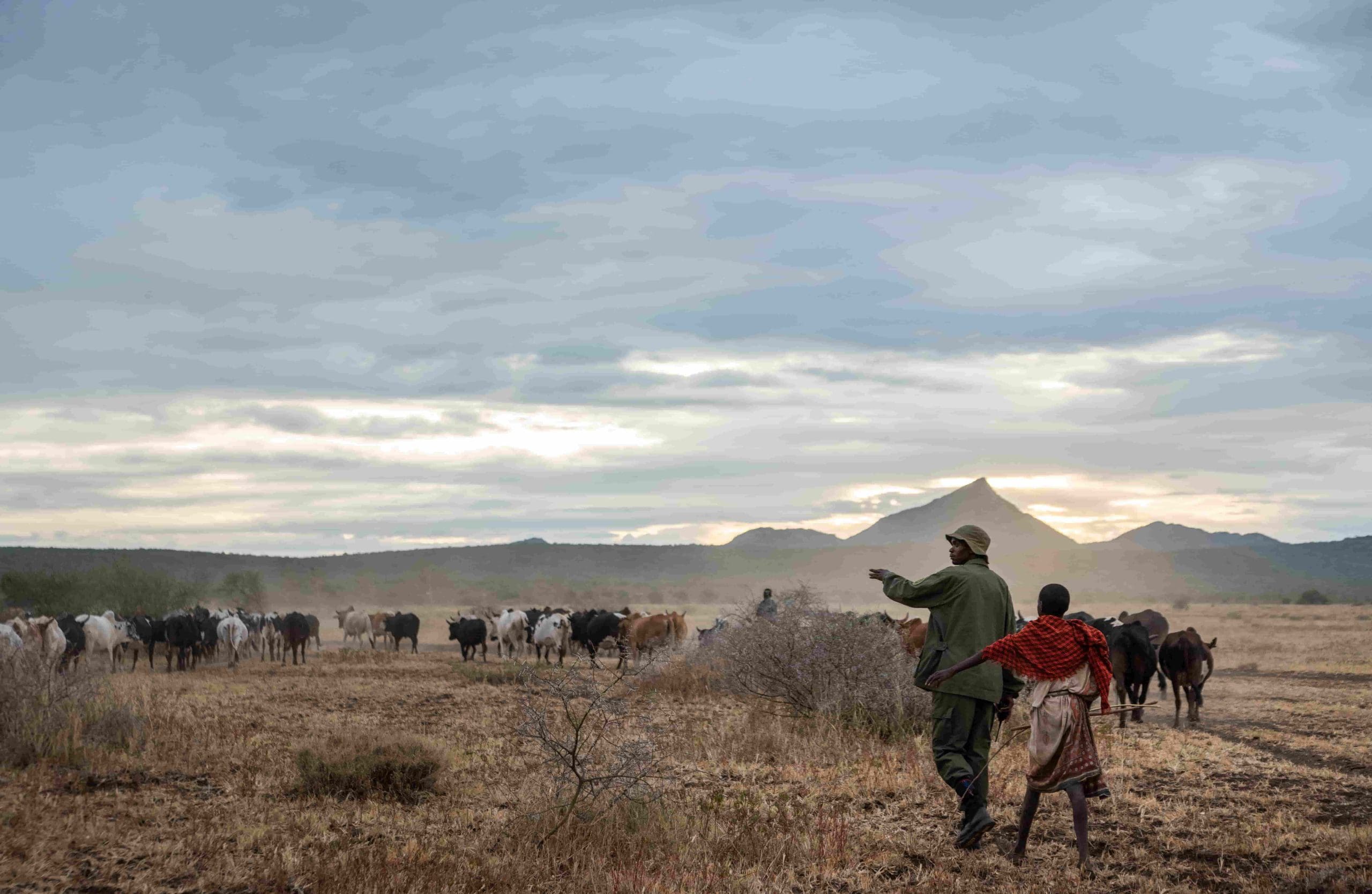 Maasai people in Tanzania protecting their forests and land with the help of carbon markets.