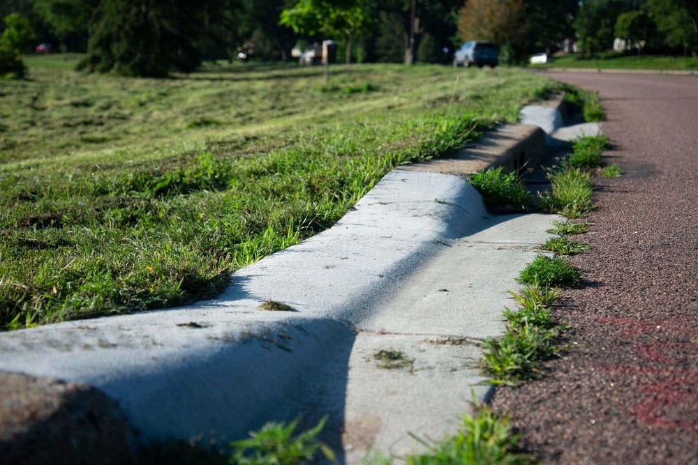 How fixing roadside curbs can help reptiles and amphibians survive 1