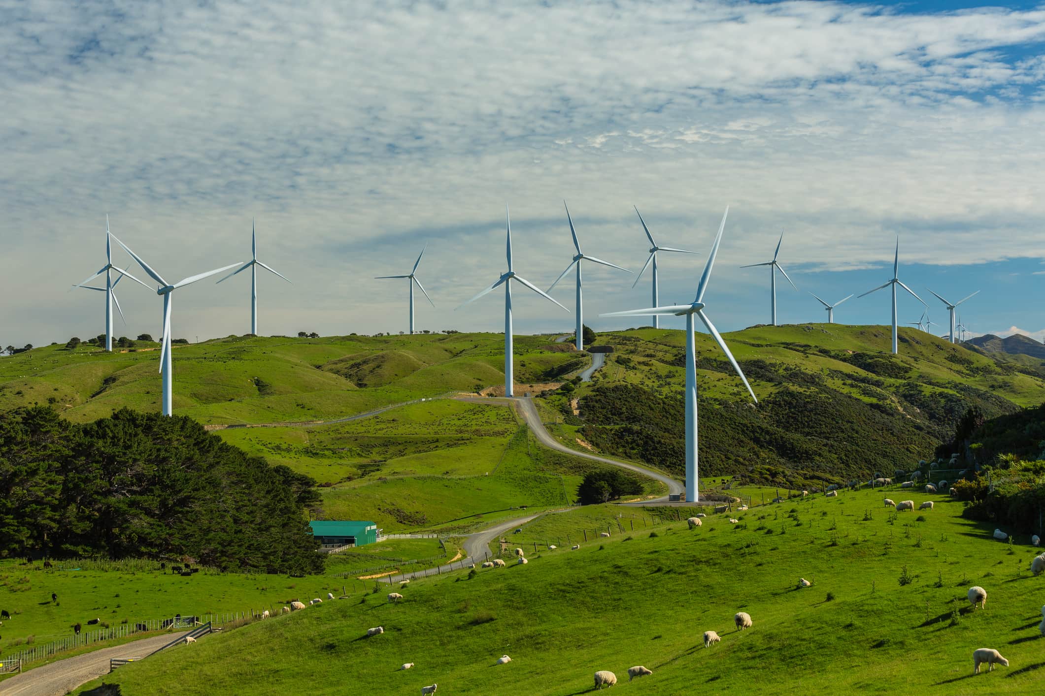 A photo of a wind farm in New Zealand, which is among the frontrunners in the shift to 100% renewable electricity.