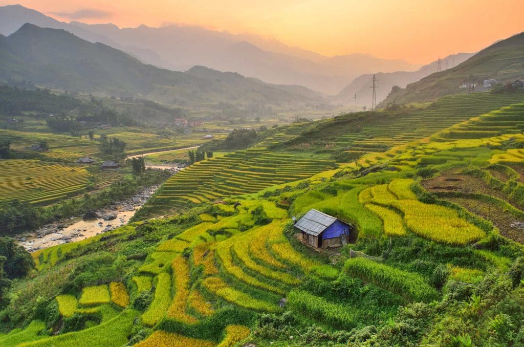 A photo of rice farms in Vietnam. Rice farming produces methane, which exacerbates climate change.