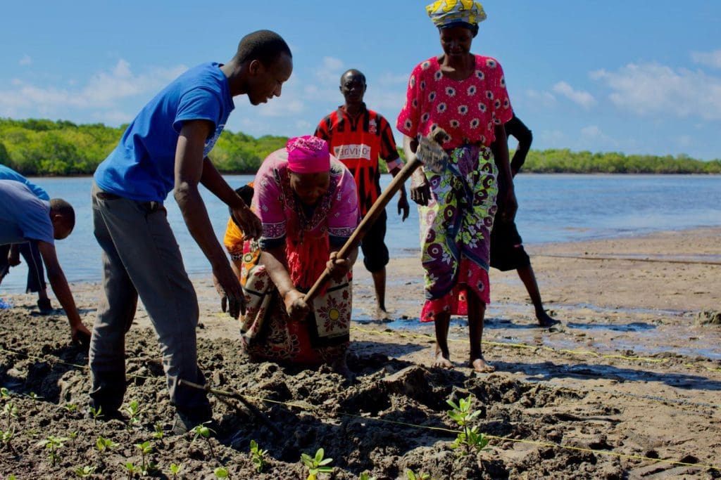 Nature-based solutions are gaining momentum across Africa 2