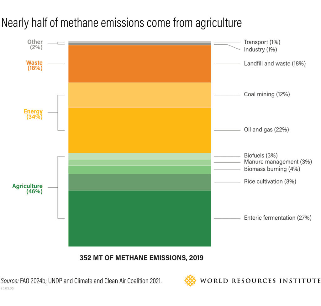 World Resources Institute: 25 ways to slash methane emissions from the agricultural sector 1
