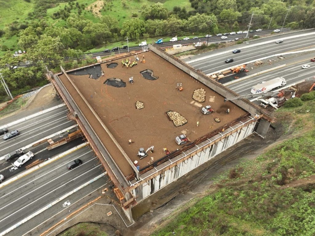 Wildlife crossings are multiplying in number and impact 1 Wildlife crossings are multiplying in number and impact 1