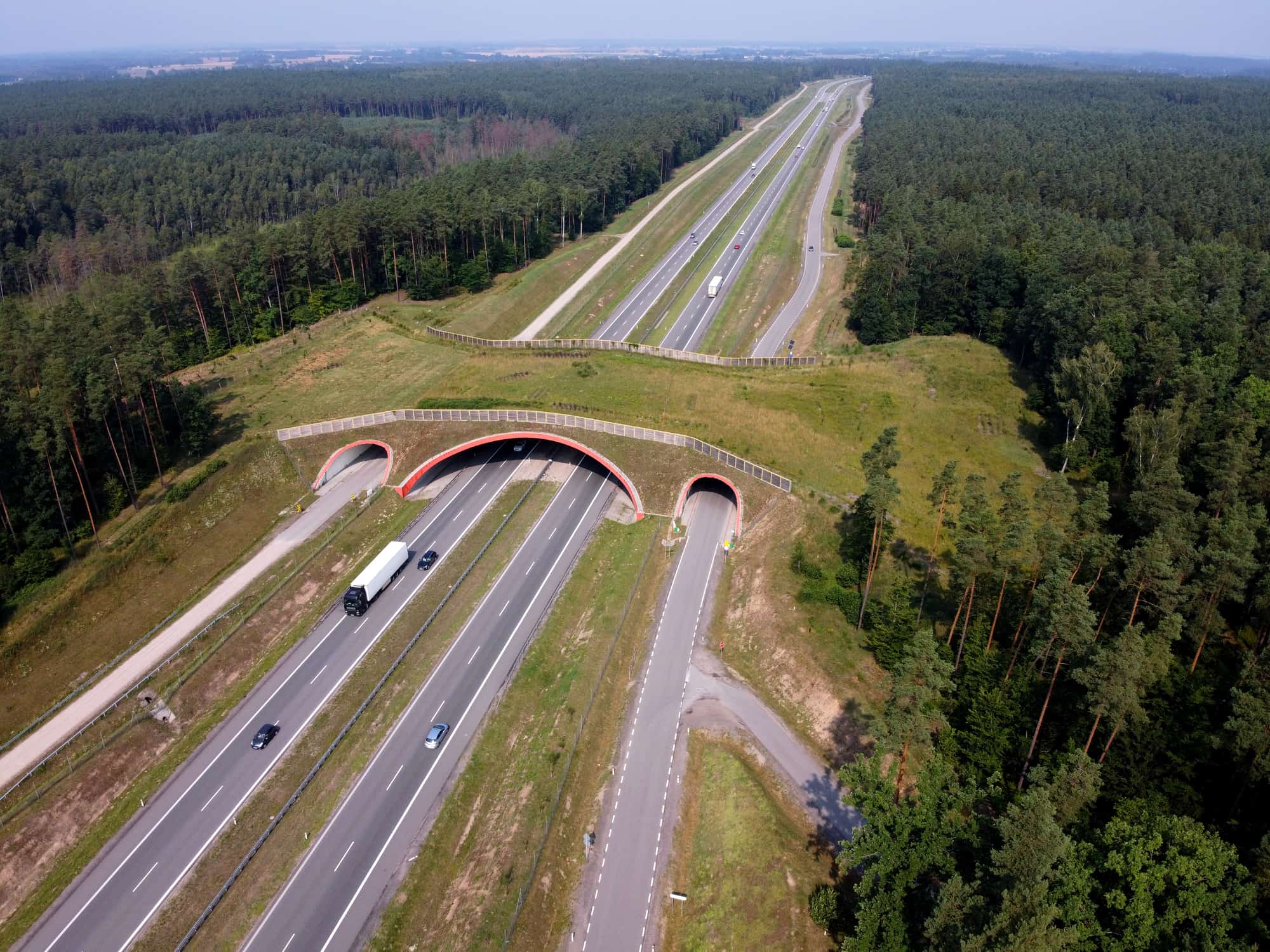 A wildlife bridge that allows animals to safely cross over highways