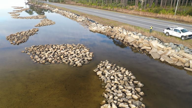 A photo of the living shorelines project.